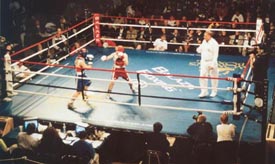 WWC bout