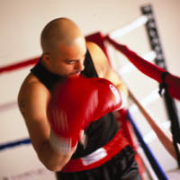 boxer